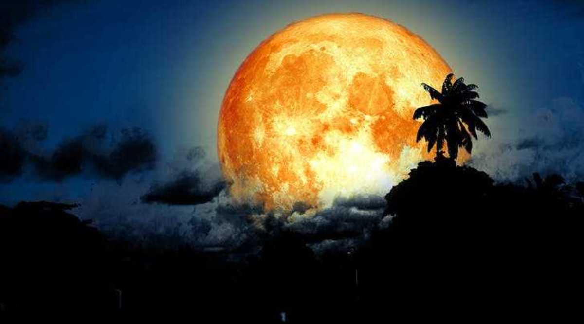sturgeon moon msn