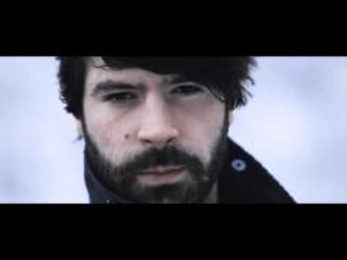 Foals