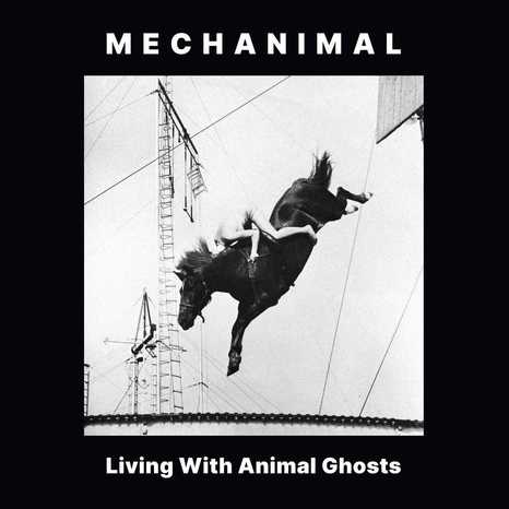 mechanimal livingWithAnimalGhosts 2022
