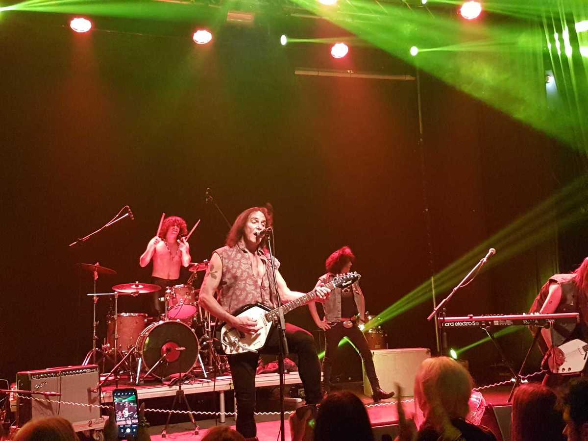 fuzztones roy01