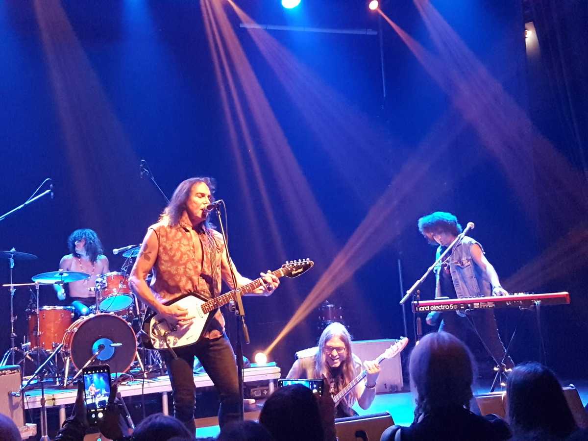 fuzztones roy03