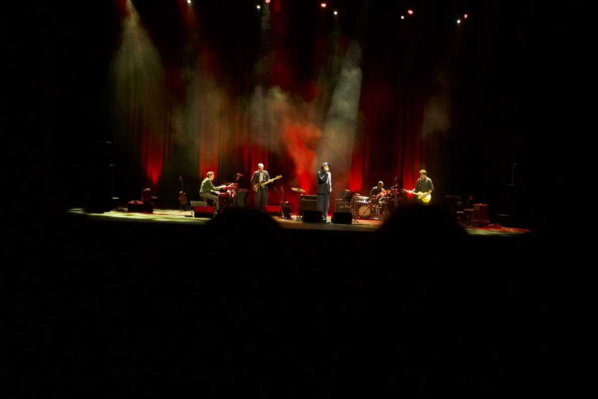 Tindersticks (1)