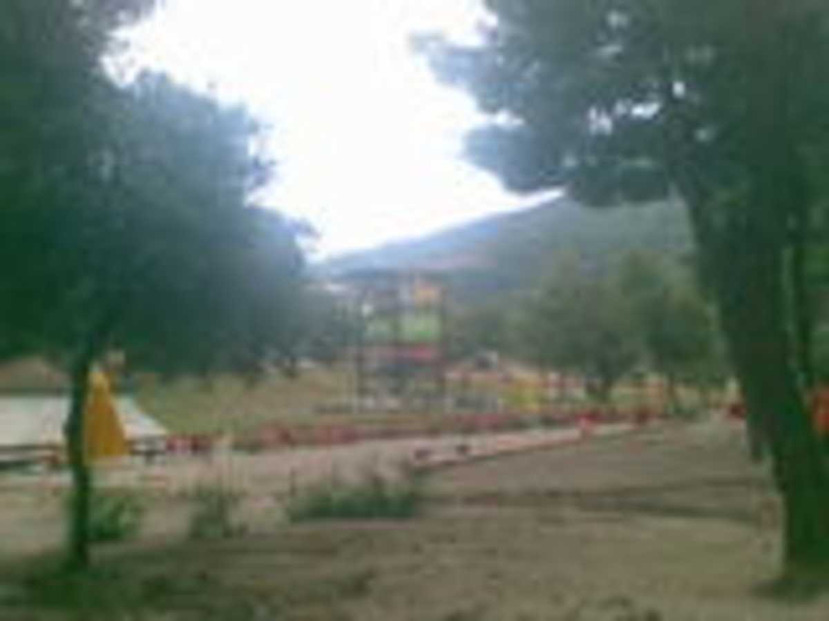 Terra Vibe
