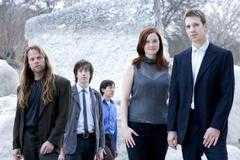 Shearwater
