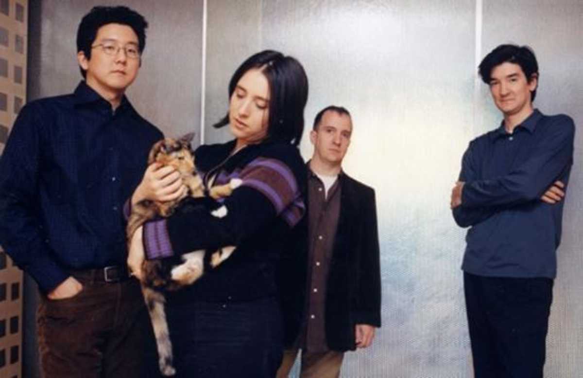 The Magnetic Fields