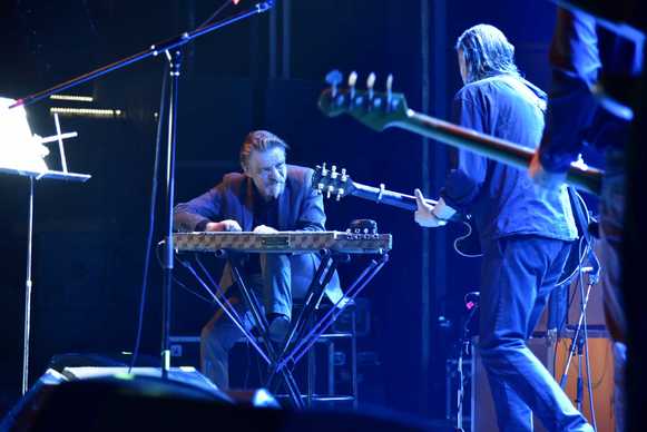 Swans