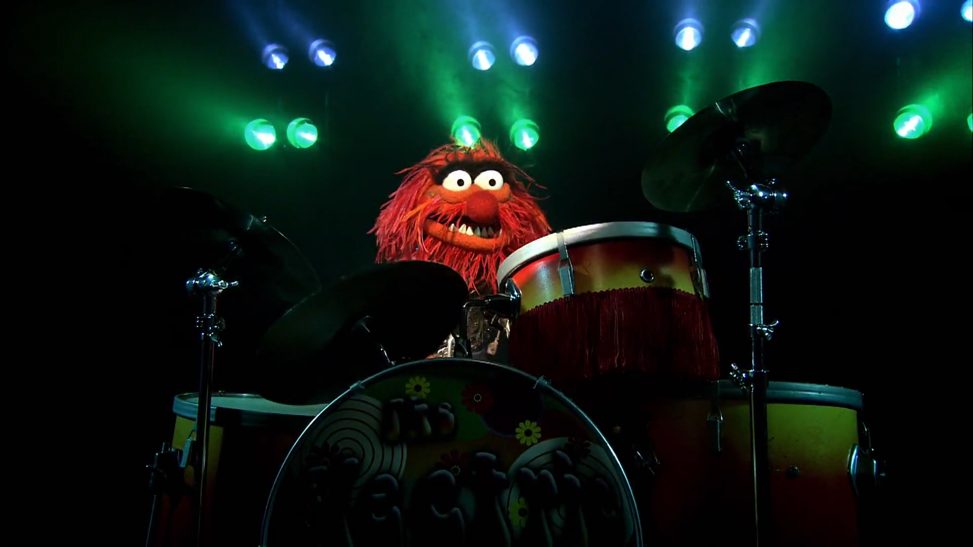 drummer animal drummer animal