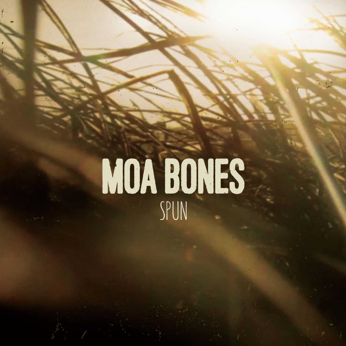 MoaBones_Spun_2015