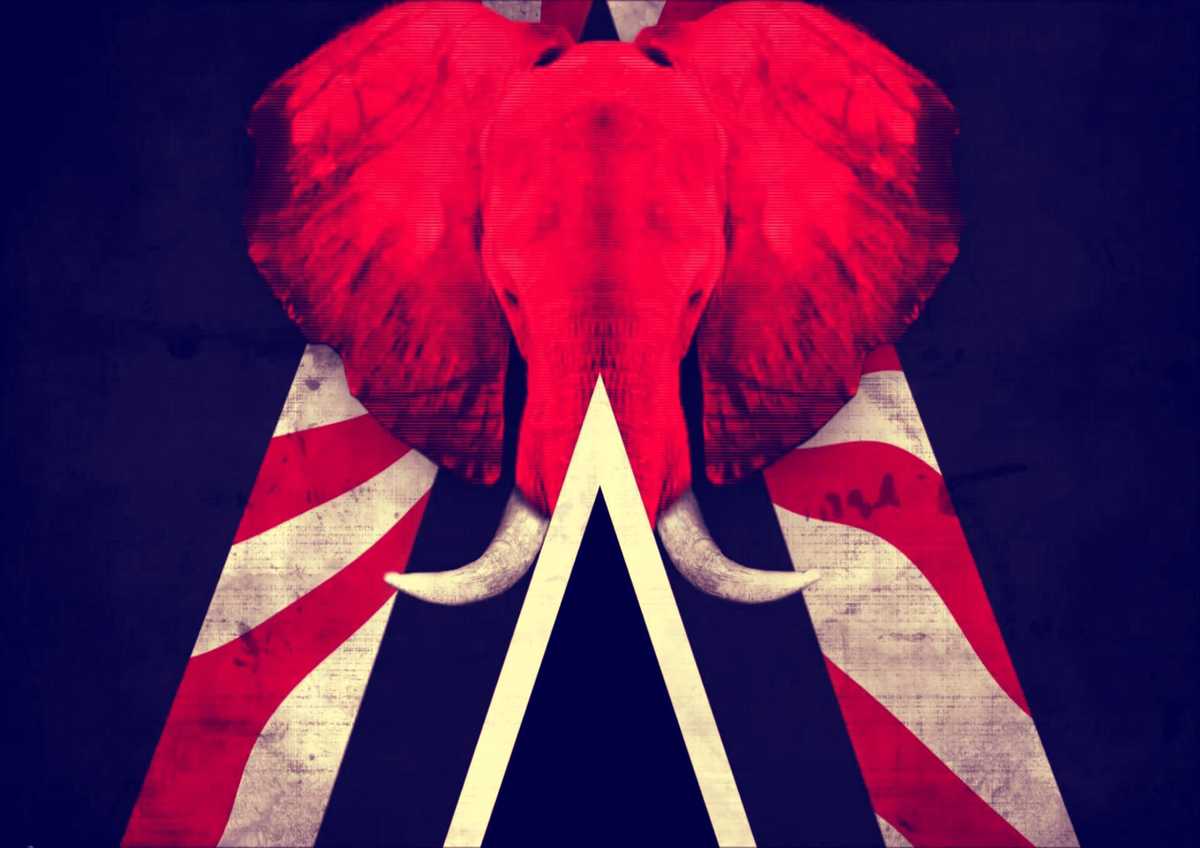 The white Stripes