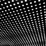 beach house bloom
