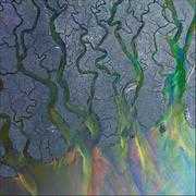 alt-j-an-awsome-wave