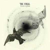coral-the-distance-between