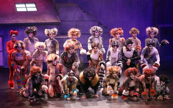 cats