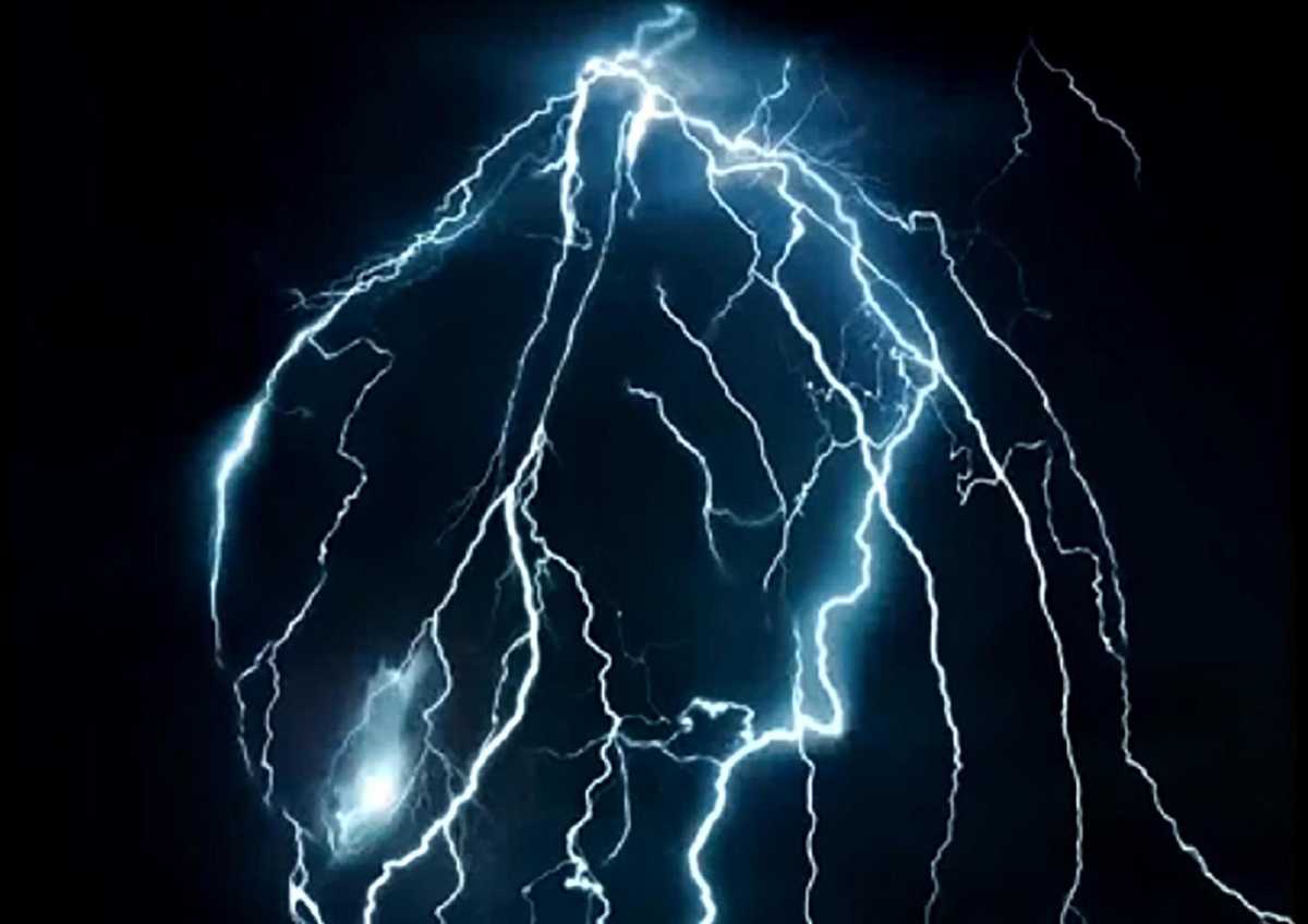 The Predator