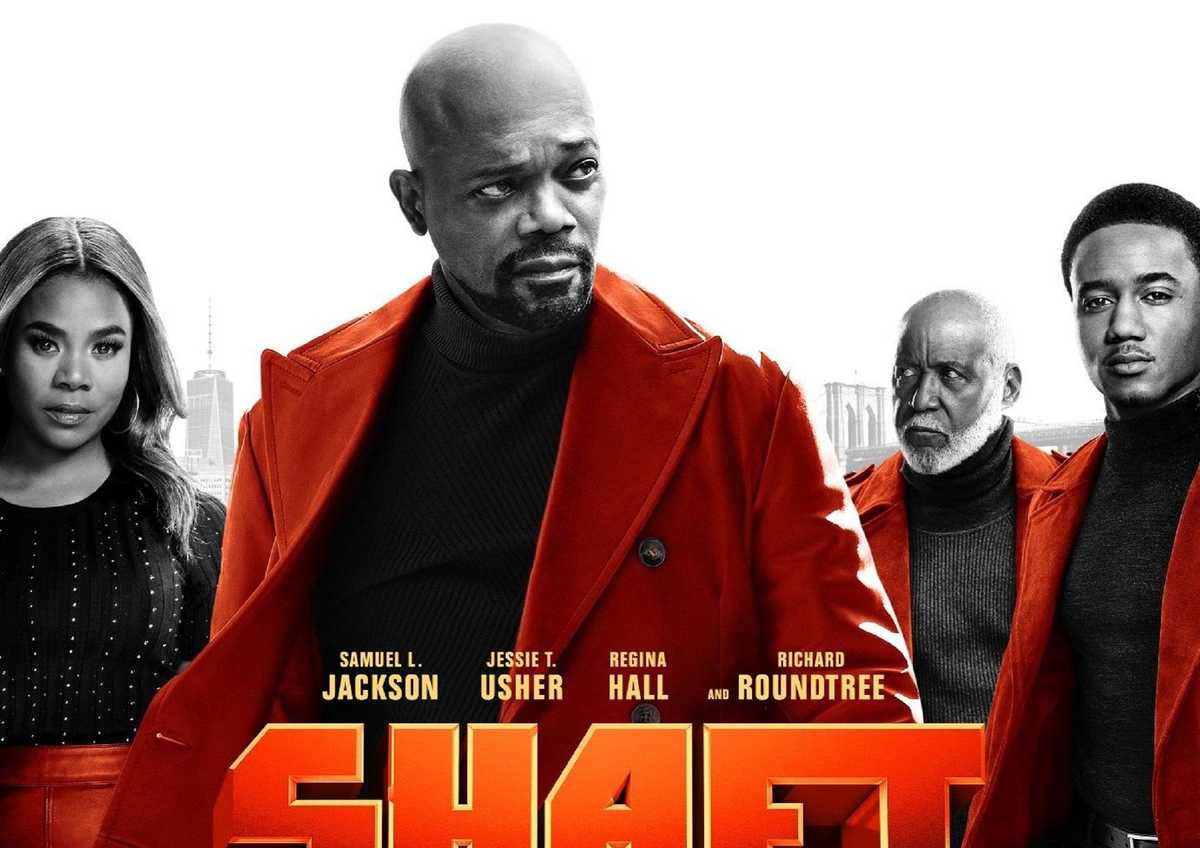 Shaft Cover
