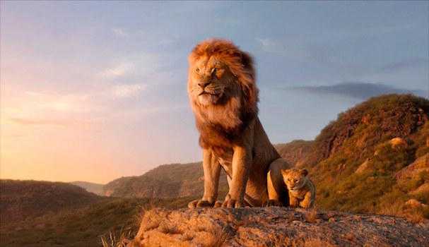 The Lion King (2019) - Looking