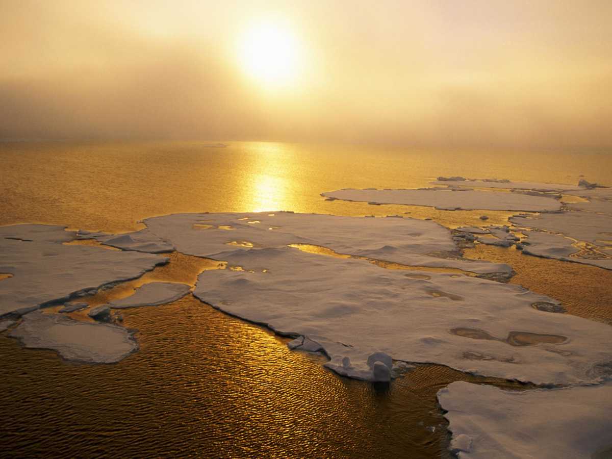 Ice floes drift across the Canada Basin, Paul Nicklen, National Geographic