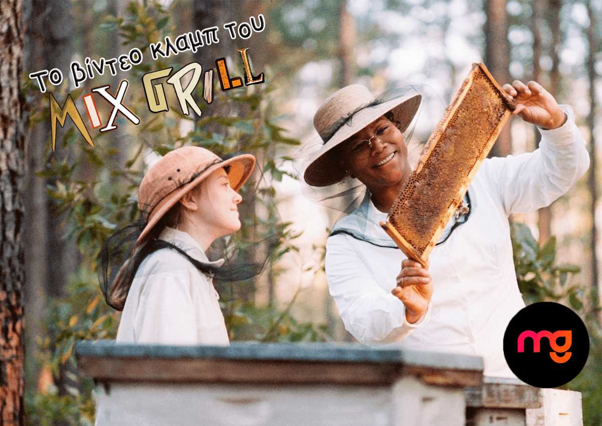 cover The Secret Life of Bees reduced