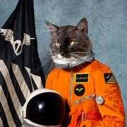 Klaxons cover
