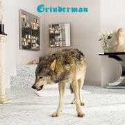 Grinderman 2