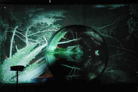 DJ Shadow DJ Shadow