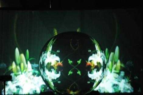 DJShadow@Rockwave2010